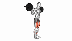 Barbell Rear Lunge